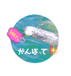 海。空撮スタンプ(11)（個別スタンプ：1）
