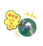 海。空撮スタンプ(11)（個別スタンプ：5）