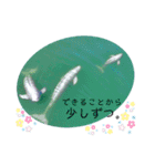 海。空撮スタンプ(11)（個別スタンプ：12）