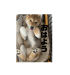 健くんです（個別スタンプ：10）
