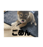 健くんです（個別スタンプ：24）