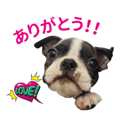 [LINEスタンプ] GO！GO！®️okuちゃん