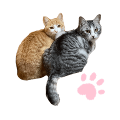 [LINEスタンプ] うにしおの日常