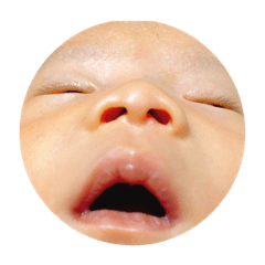 [LINEスタンプ] koseidesu