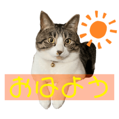 [LINEスタンプ] まるちゃんとちびちゃん