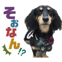 [LINEスタンプ] マカナとしんのすけ②