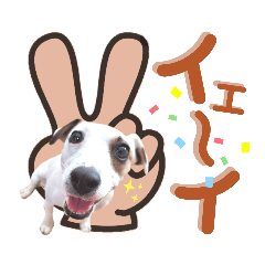 [LINEスタンプ] 愛犬♡ハナコのスタンプ＊11