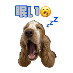 [LINEスタンプ] 4本足の仲間たち❷