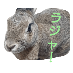 [LINEスタンプ] うーちゃんとなかまたち    （自衛隊用語）