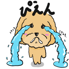 [LINEスタンプ] トイプードルのモナちゃんスタンプ