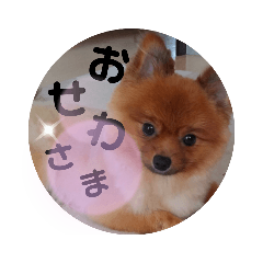 [LINEスタンプ] 楽のあれこれ5