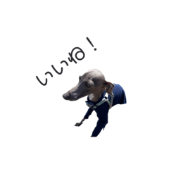 [LINEスタンプ] イタグレおれおくん2