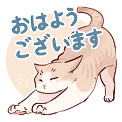 [LINEスタンプ] ちゃとらねこのスタンプ2