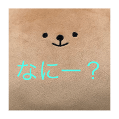 [LINEスタンプ] くまじろうの一言