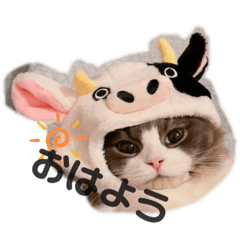 [LINEスタンプ] トト君メロちゃんスタンプ①