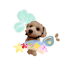 [LINEスタンプ] トイプー＆ビジョン☆日常スタンプ〜2〜