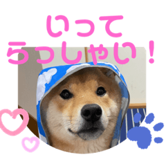 [LINEスタンプ] ふわふわカンタのすたんぷ