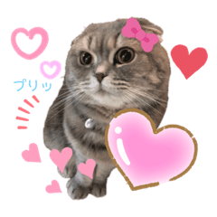 [LINEスタンプ] ももっち4