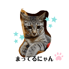 [LINEスタンプ] いろなのちゃん2