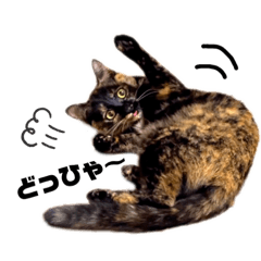 [LINEスタンプ] まつうら家あにまるず②