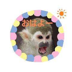 [LINEスタンプ] わくわく動物王国3
