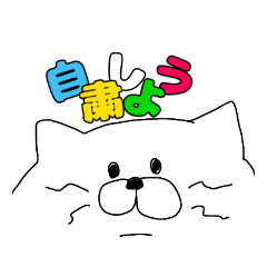 [LINEスタンプ] お断りしたい猫2