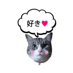 [LINEスタンプ] トム＆ピノルナ