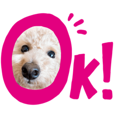[LINEスタンプ] ワンだふるらいふ♡チロル