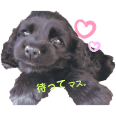 [LINEスタンプ] Priscilla..