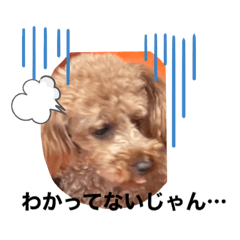 [LINEスタンプ] ダックス＆プードル日常