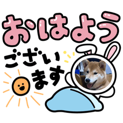 [LINEスタンプ] 雪風ちゃんと仲間達の日常