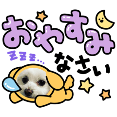 [LINEスタンプ] レアチーズちゃんの日常
