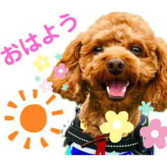 [LINEスタンプ] といぷーのりょうちゃん2