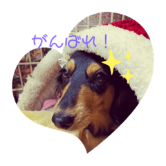 [LINEスタンプ] ちぇりぃスタンプ