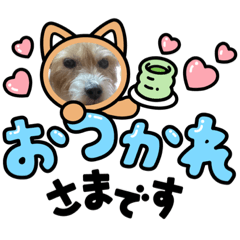 [LINEスタンプ] まいるっちゃん