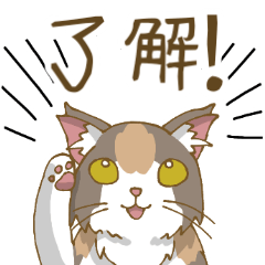 [LINEスタンプ] 家族で使える三毛猫スタンプ