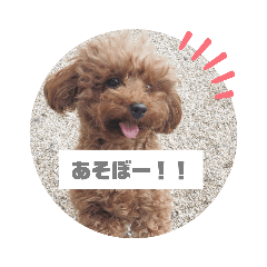 [LINEスタンプ] 河井ふぁみりー❤