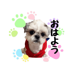 [LINEスタンプ] スペロの日常
