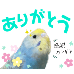 [LINEスタンプ] 麦ちゃんと時々仲間たち♪