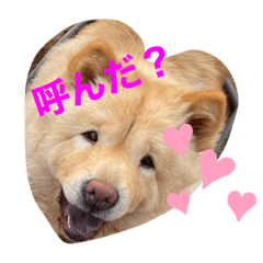 [LINEスタンプ] はーるはるはる