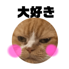 [LINEスタンプ] 18歳のまんちちゃんpart5
