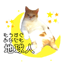 [LINEスタンプ] うちのミルキー16