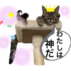 [LINEスタンプ] 猫のつなたん