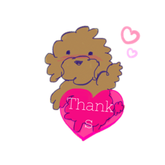 [LINEスタンプ] ふわふわプードルの日常