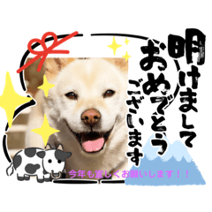 [LINEスタンプ] stamp of pico 2