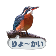 [LINEスタンプ] 翡翠 510