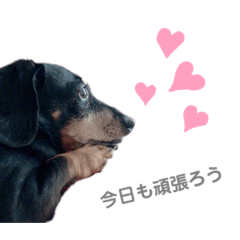[LINEスタンプ] らんLIFE2
