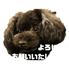 [LINEスタンプ] ろろ丸弁護士日常編