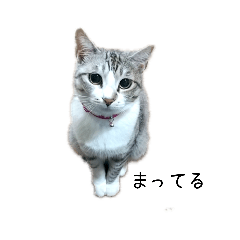 [LINEスタンプ] RIOMO