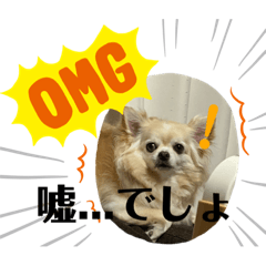 [LINEスタンプ] クラインくんのお話1